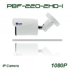 دوربین تحت شبکه دیددرشب PBF-220-2HD-I